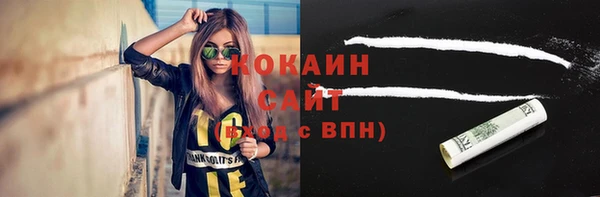 дмт Мегион