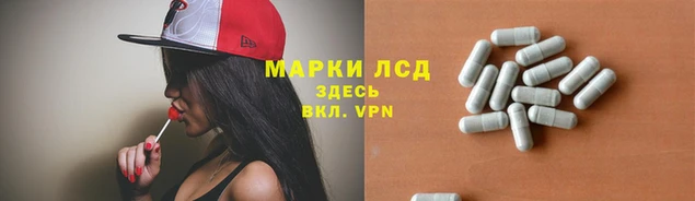 стафф Медвежьегорск