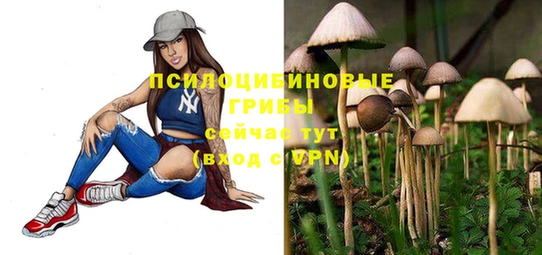прущая мука Медногорск