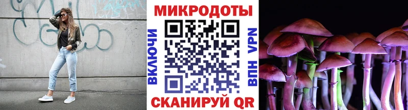 Псилоцибиновые грибы Psilocybine cubensis  где найти   Галич 